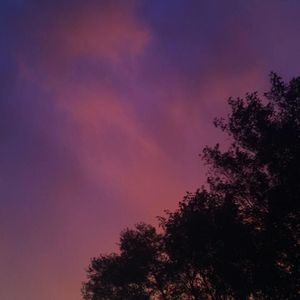 Meet your Posher, Jaylin